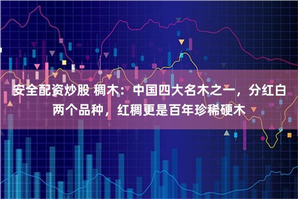 安全配资炒股 稠木：中国四大名木之一，分红白两个品种，红稠更是百年珍稀硬木